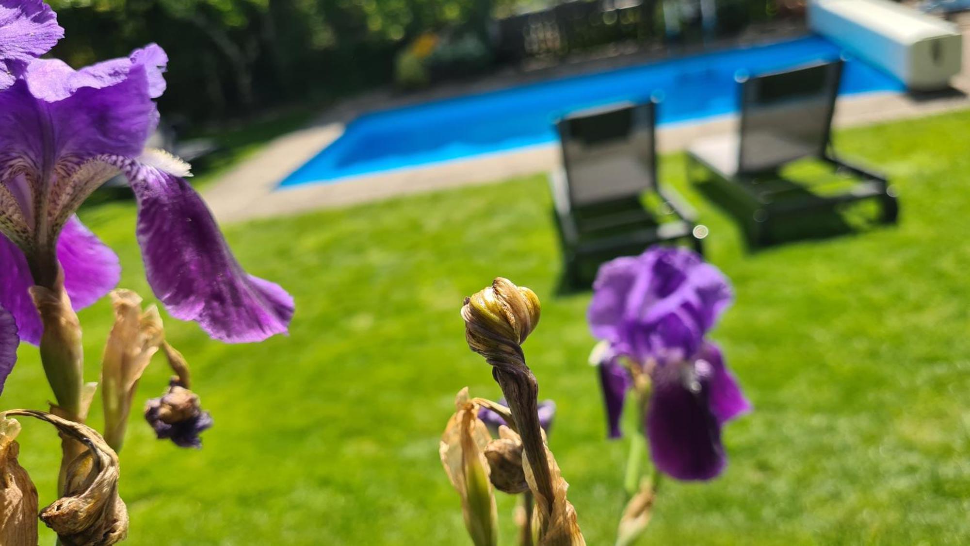 Appartments Innerhofer リフィアーノ エクステリア 写真
